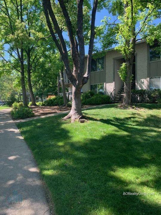 property for rent #2